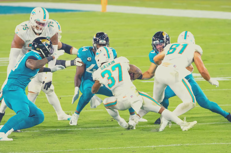 A Miami Dolphins Game!