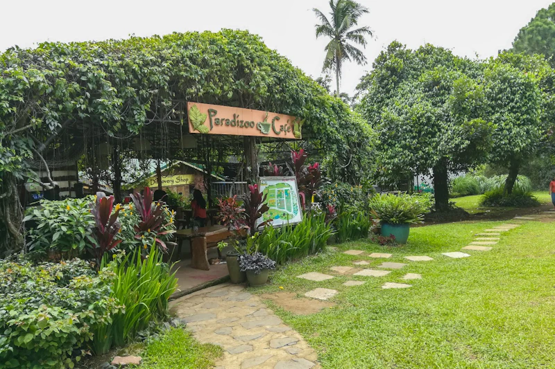 Bujna kawiarnia na świeżym powietrzu o nazwie Paradizoo Café z zielonym, liściastym baldachimem, otoczona roślinami i prowadzącą do niej ścieżką ogrodową.
