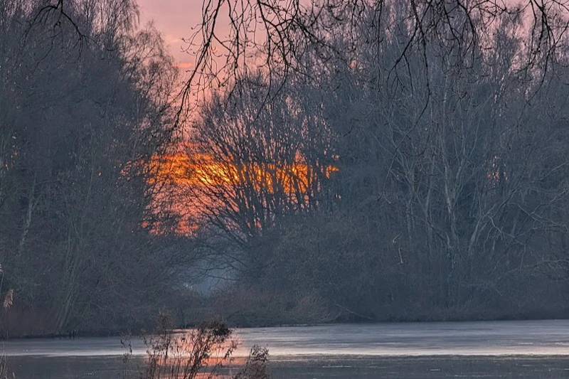Zachód słońca przez gołe drzewa nad spokojnym jeziorem, z gałęziami na pierwszym planie i spokojną atmosferą.