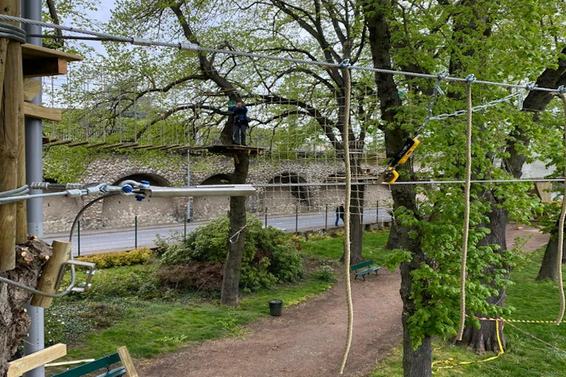 Osoba poruszająca się po podwyższonym torze linowym wśród wysokich drzew w otoczeniu parku na świeżym powietrzu.