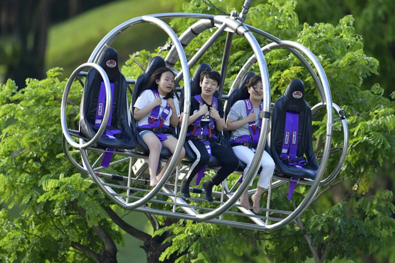 Proca Singapur