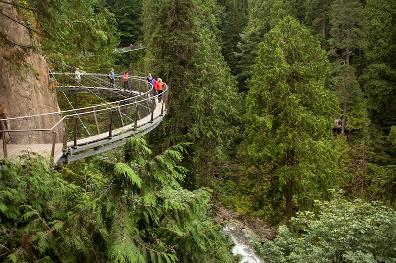 Malahat Skywalk