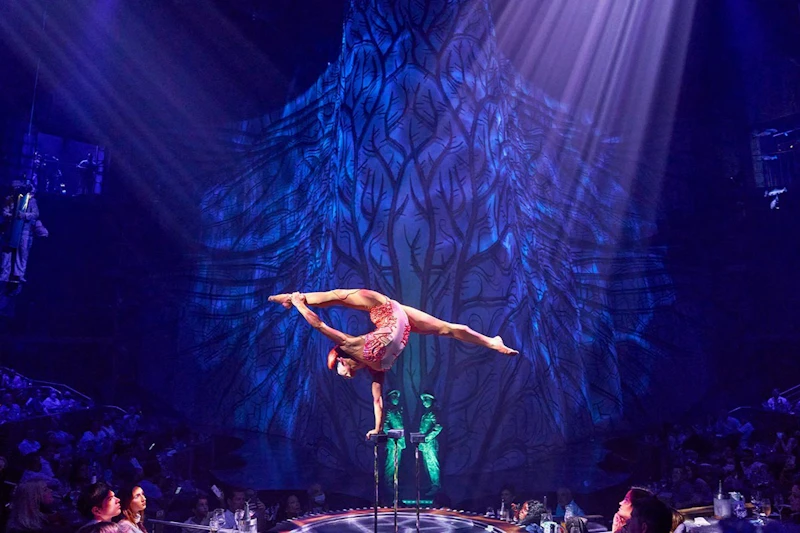 Cirque du Soleil JOYÀ, VIDAFEL