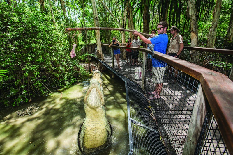 Atrakcje w pobliżu Hartley 's Crocodile Adventures