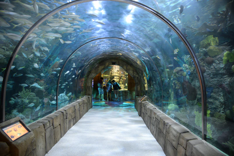 Tunel Majów